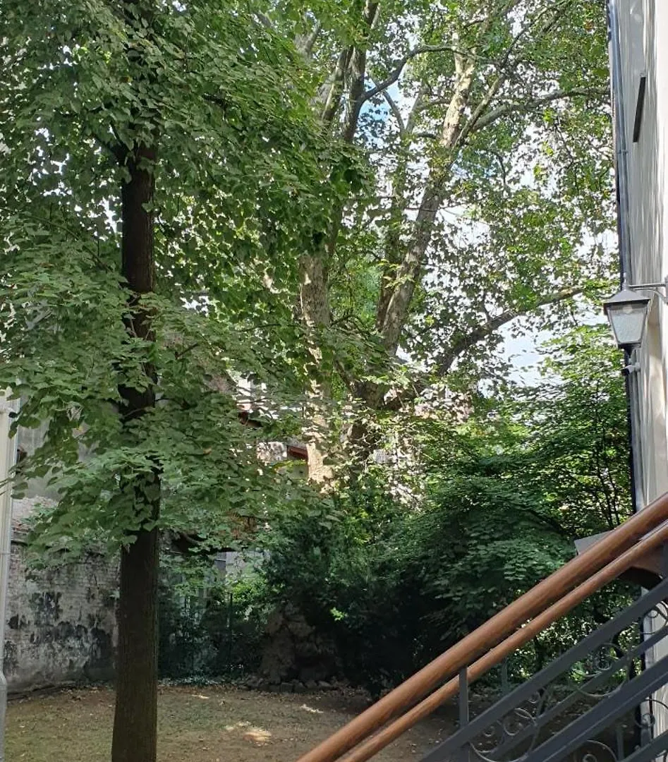 Cozy Flat Krakow Old Town Close To Main Square 0*,